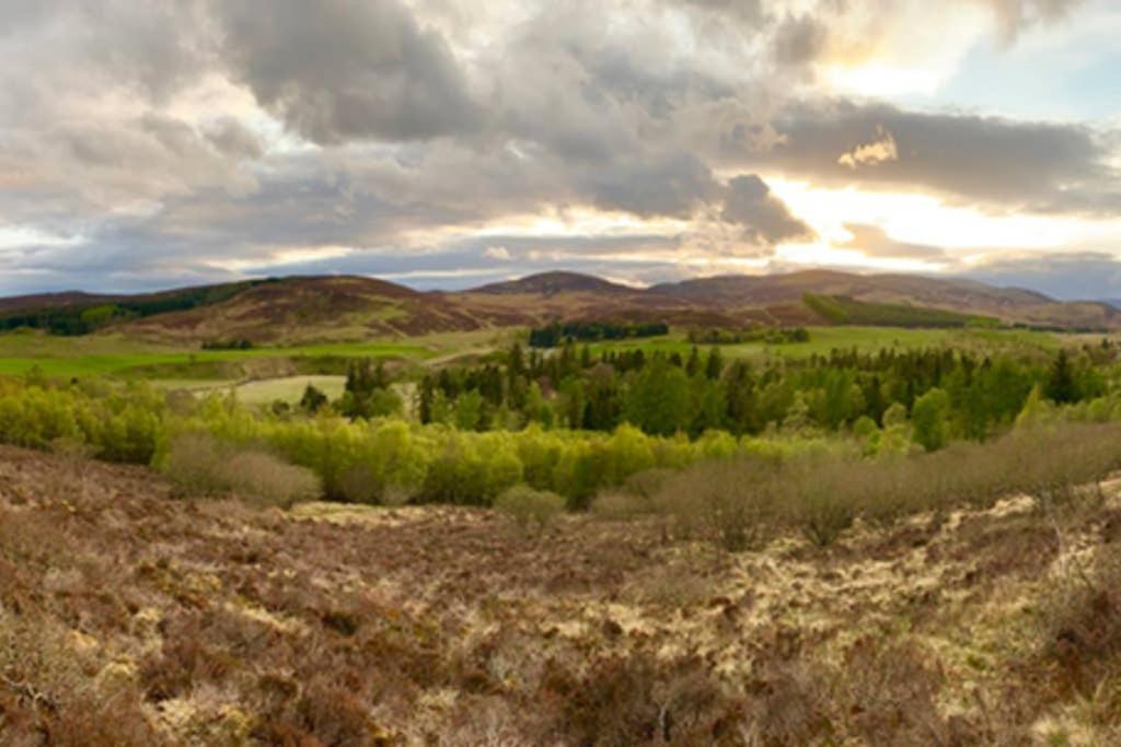 Blairbeg Cottage Blairgowrie and Rattray Extérieur photo